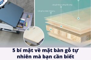 Mặt bàn gỗ tự nhiên và 5 bí mật mà bạn cần biết