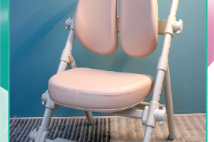 RA MẮT SIÊU PHẨM MỚI: GHẾ CHỐNG GÙ DOLPHIN G10