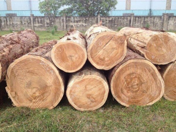 bàn học gỗ tự nhiên
