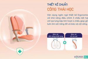Tư thế tốt – Thói quen vàng: Tạo nền tảng từ một chiếc ghế chuẩn